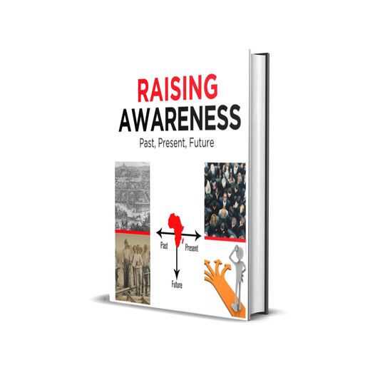 Raising Awareness: Past, Present, Future Paperback by Olatunji Mwamba and Mkuu Mzee