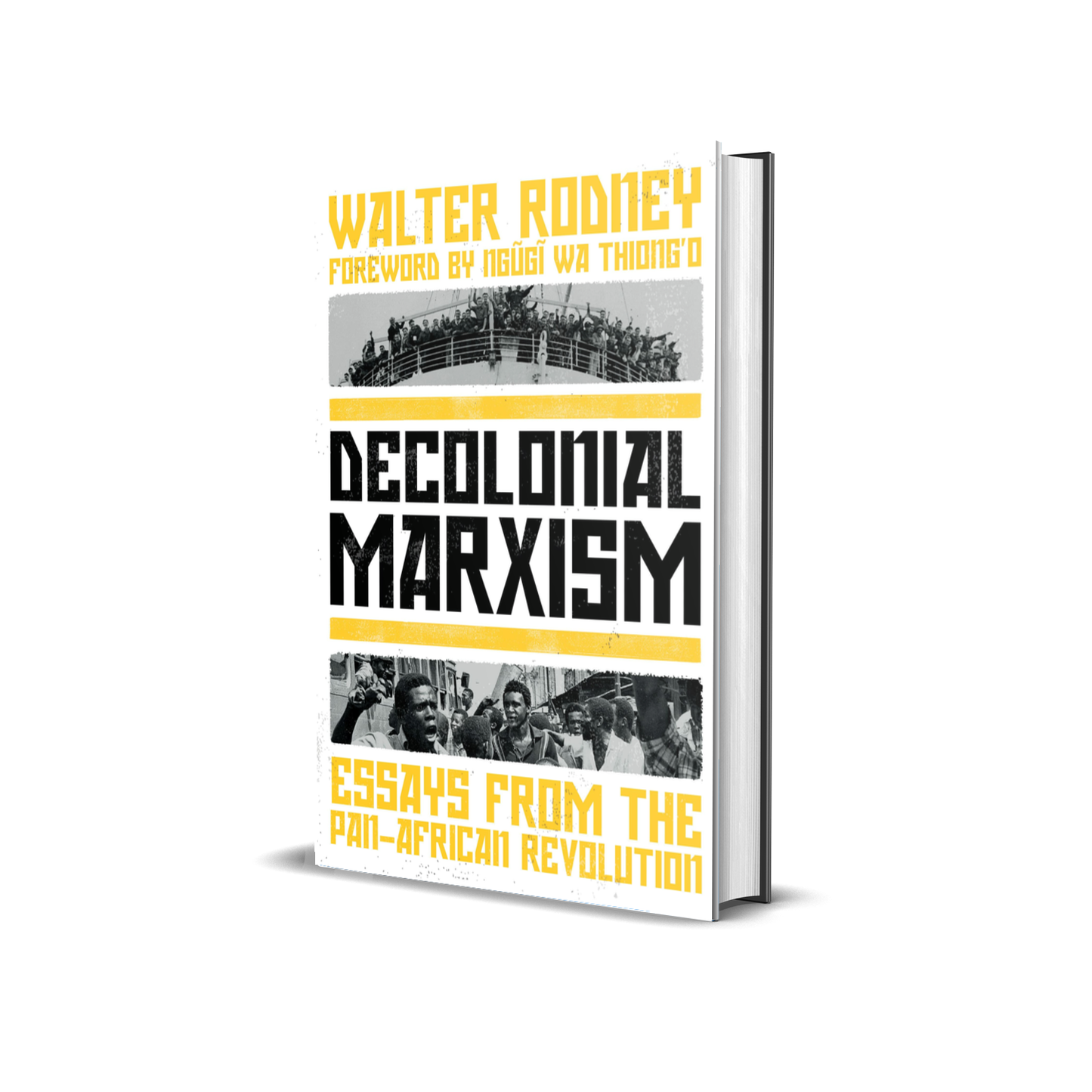 Decolonial Marxism: Essays from the Pan-African Revolution by Walter Rodney