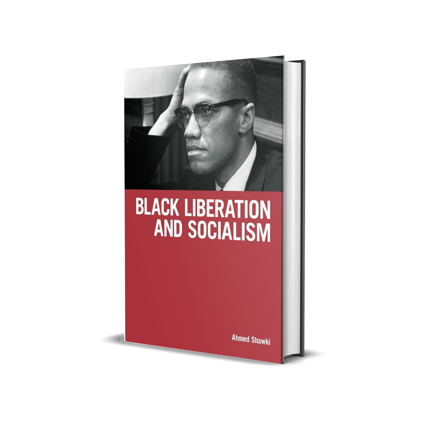 Black Liberation and Socialism by Ahmed Shawki