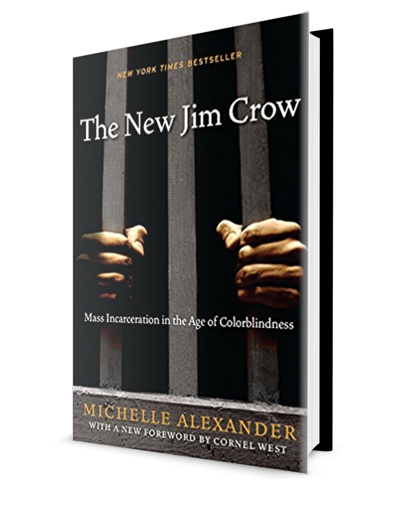 Michelle Alexander – The New Jim Crow: Mass Incarceration in the Age of ...